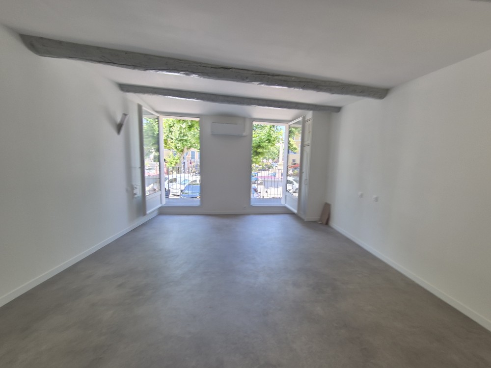 Locaux commerciaux Apt (84400)